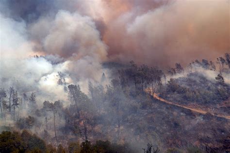 蛇山火事|自然に有益だったはずの山火事は、こうして「地球の。